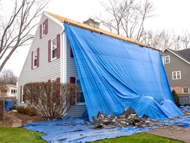 Best Demolition Debris Removal  in Excelsior, MN